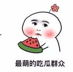 吃瓜不信瓜胡言乱语,胡言乱语的背后真相  第3张